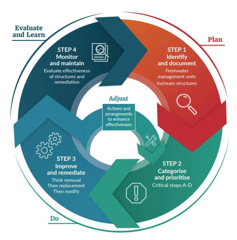 A graphic showing the cycle of each step of the fish passage action plan