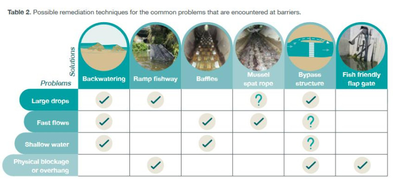A table showing possible remediation techniques for common problems found at barriers.