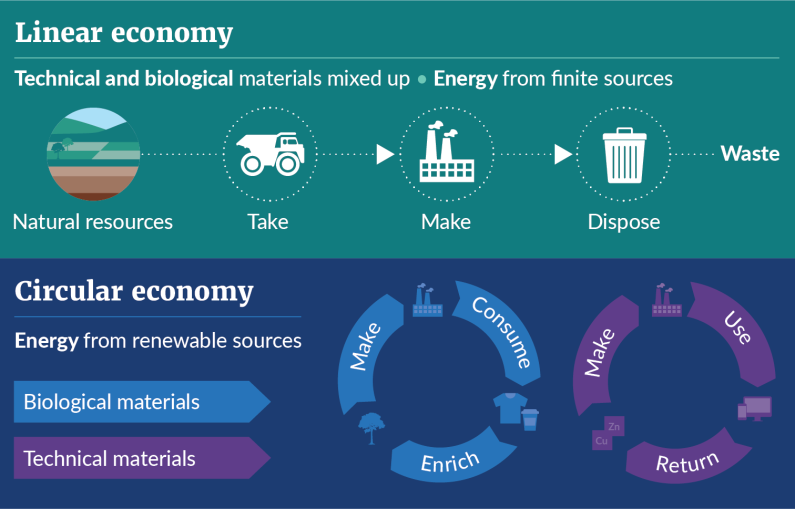 An infographic showing the difference between a linear economy (take-make-dispose) and a circular economy, where biological and technical materials remain in circulation for as long as possible.