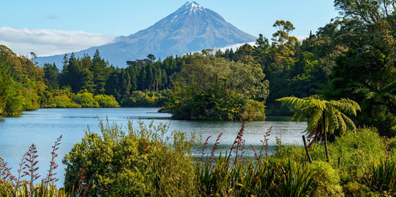 Looking out at a forest area surrounding water, with a mountain in the background.